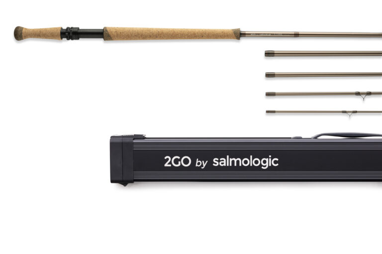 2GO_28g_case copy